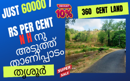 360 Cent Land For Sale Near N H Thanippadam, Thrissur